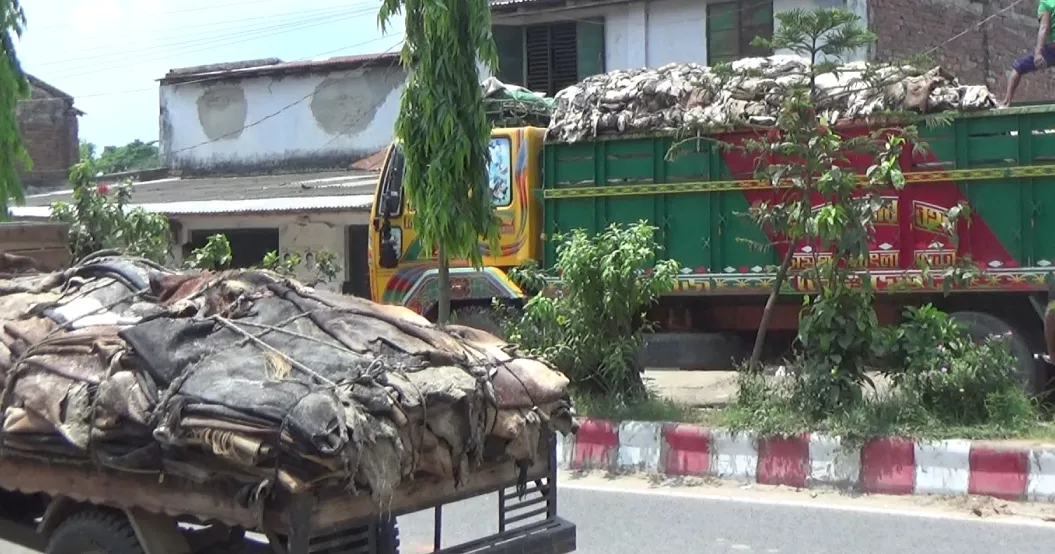 Natore's rawhide traders distressed by 10-day entry ban into Dhaka