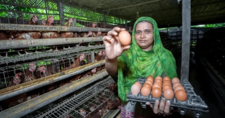 Increase women's protein intake to accelerate their empowerment: Experts