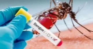 4 more die of dengue, 568 hospitalised in 24hrs: DGHS