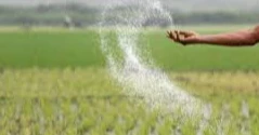 Enough fertilizer in stock to last till December: Agriculture Secretary