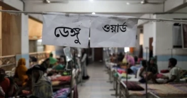 4 more die of dengue; 758 hospitalised