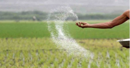 Cabinet committee approves G2G urea imports for FY27