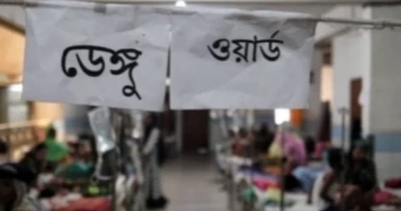 August sees 39 deaths from dengue, year's toll at 122 after 8 months