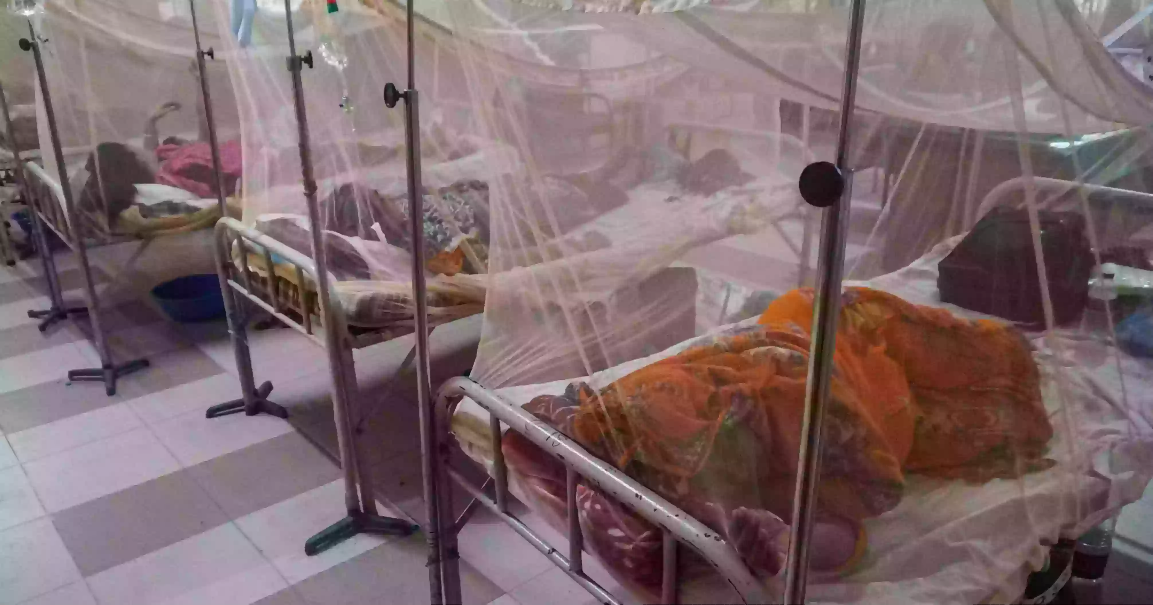 Dengue: 3 more die, 425 new cases recorded in 24hrs