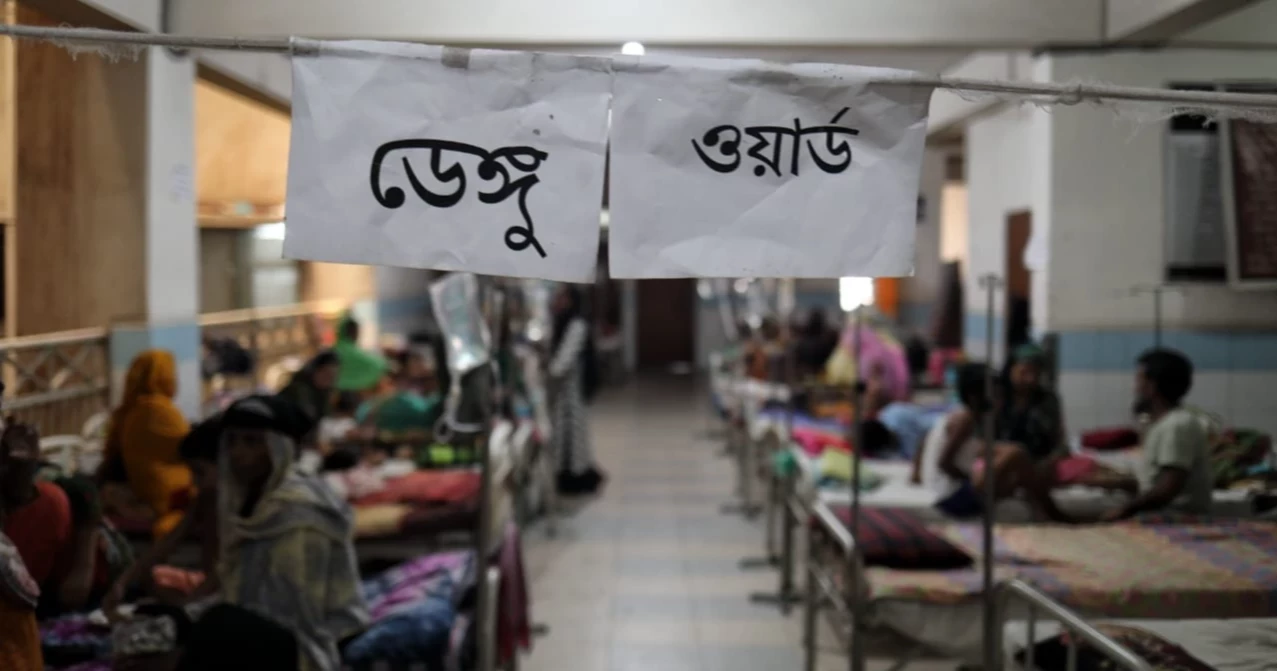 Dengue: 21 more die, 3015 hospitalised  in 24 hrs