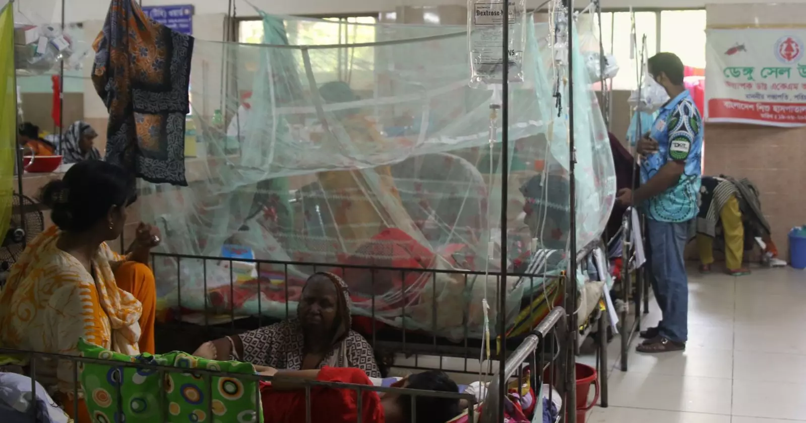 Dengue claims another life in 24 hrs