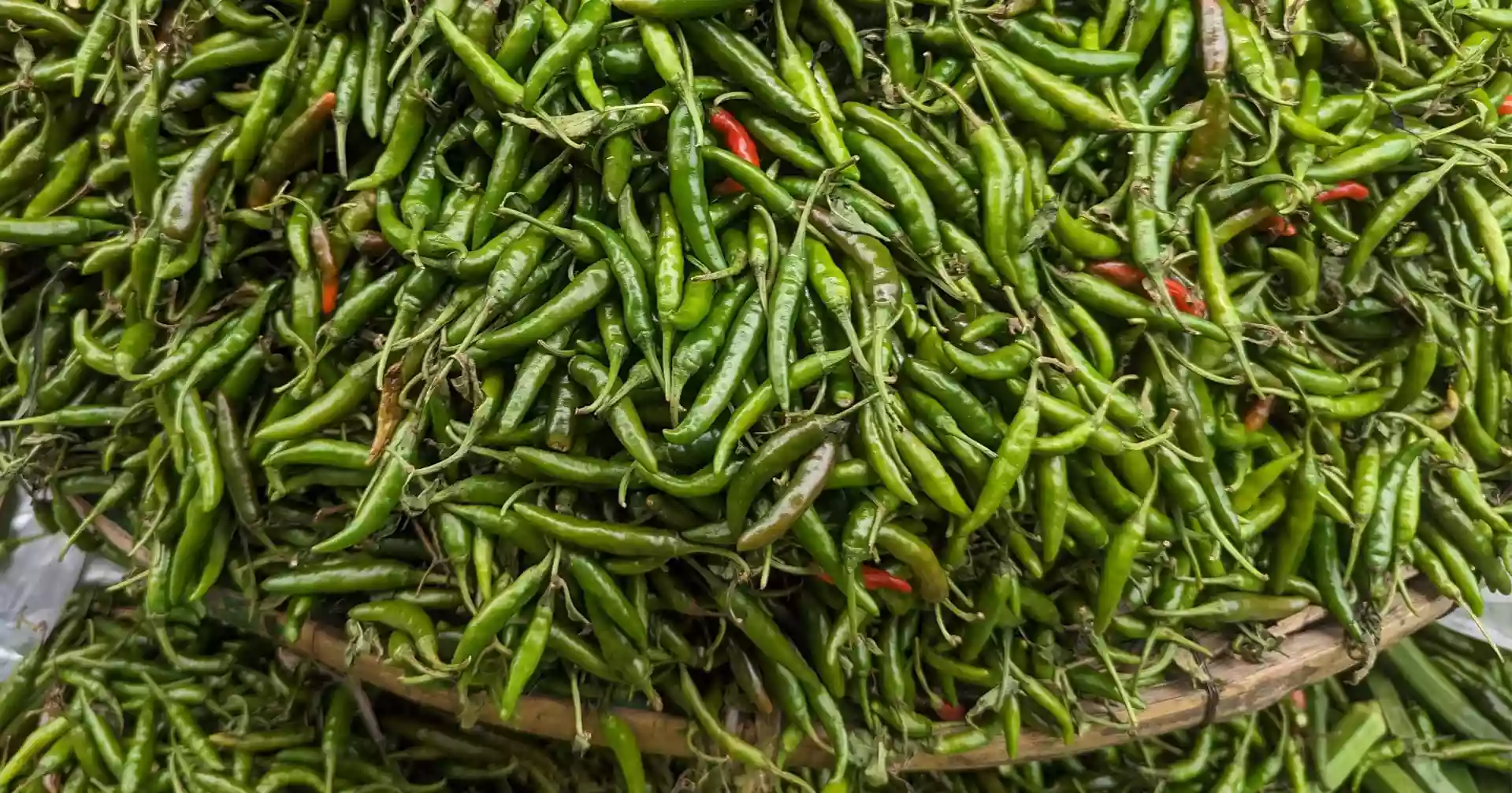 Green chili prices soar in Dhaka as rains squeeze supply