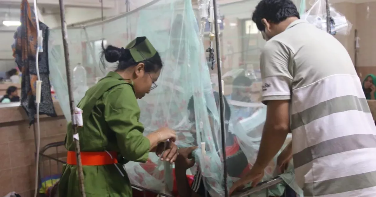 Dengue claims 8 more lives, 2,036 hospitalised in 24 hrs