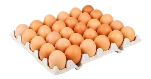 No import of eggs, meat under any circumstances: Adviser
