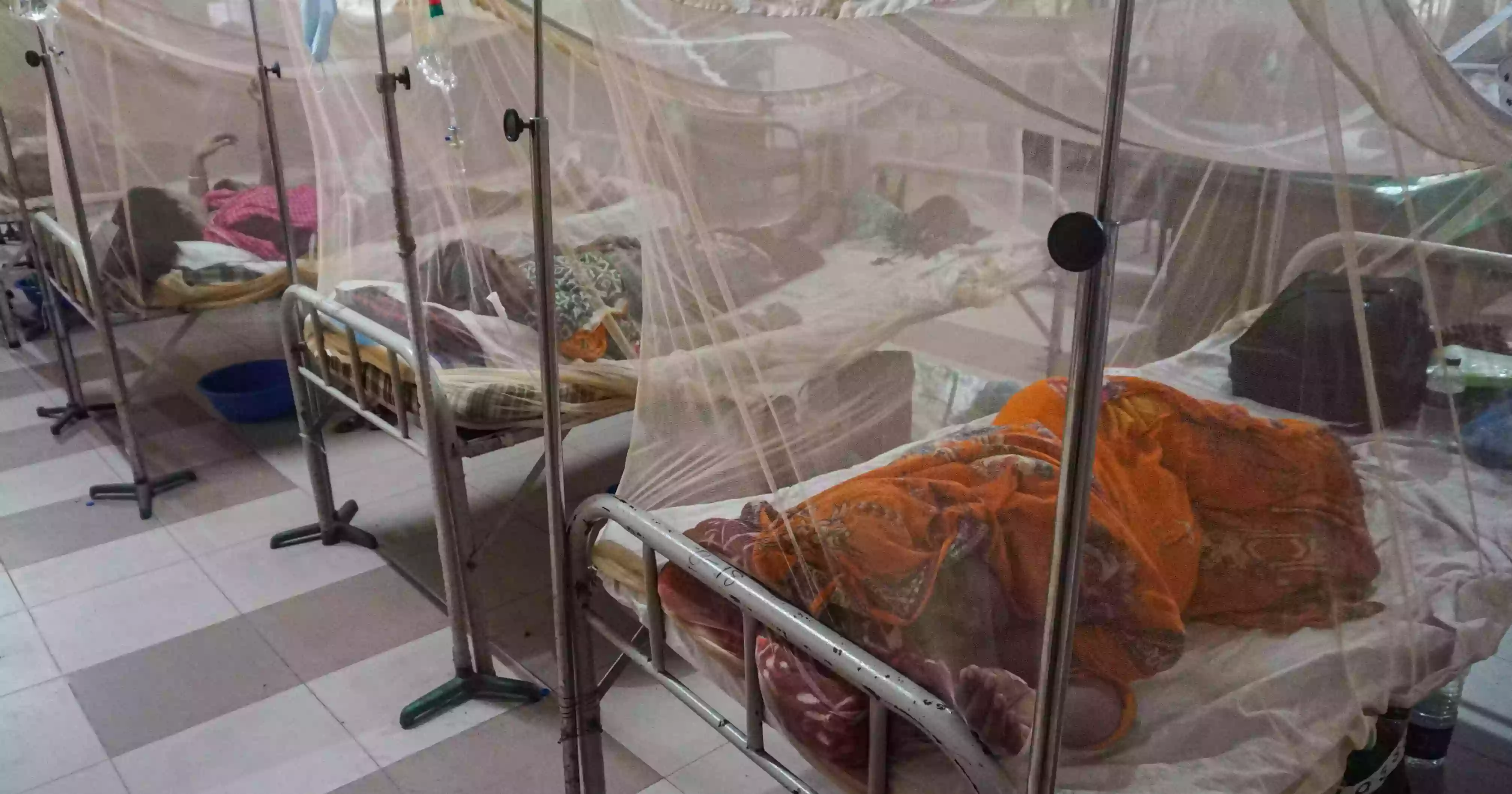 234 more dengue cases reported in 24 hrs