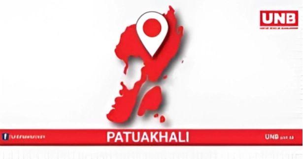3 buffaloes die, 25 fall ill after allegedly eating poisoned grass in Patuakhali