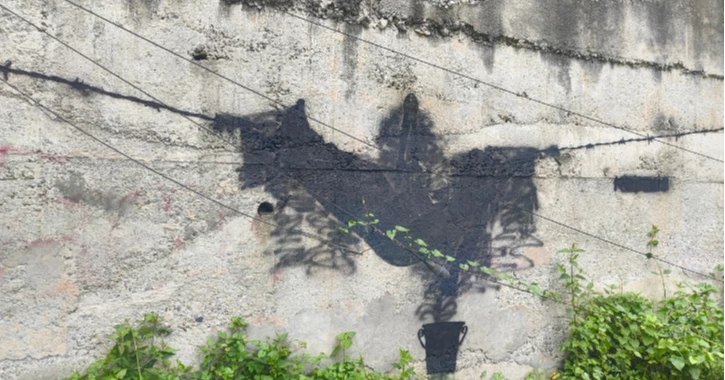 HOBEKI?’s first international Subodh graffiti disappears from Sikkim after 5 days