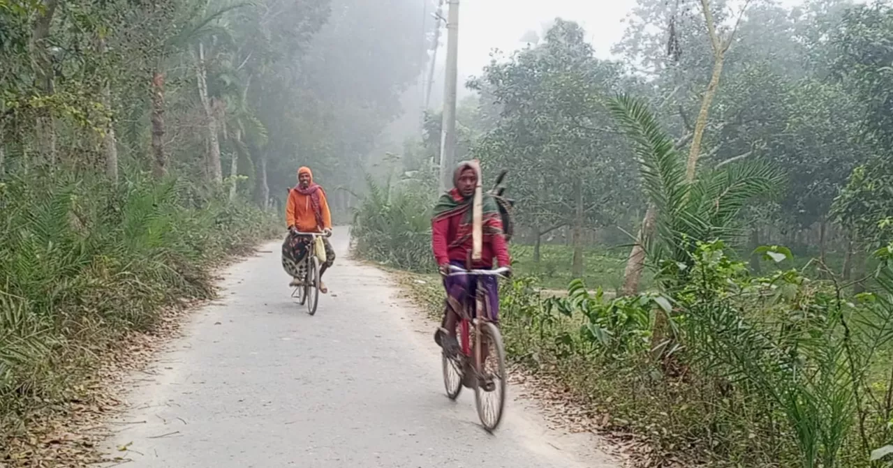 Mild cold wave sweeps parts of Bangladesh