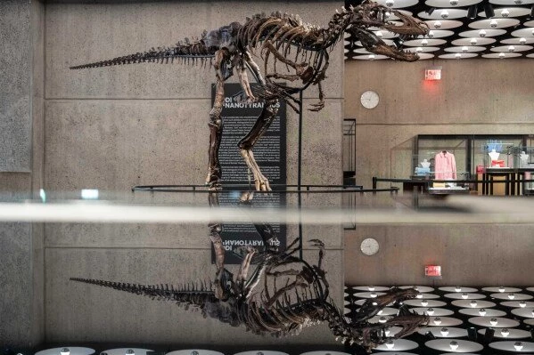 Miniature T. rex-like dinosaur fossil sells for $47.3 million