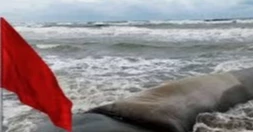 Maritime ports asked to hoist local cautionary signal No 3