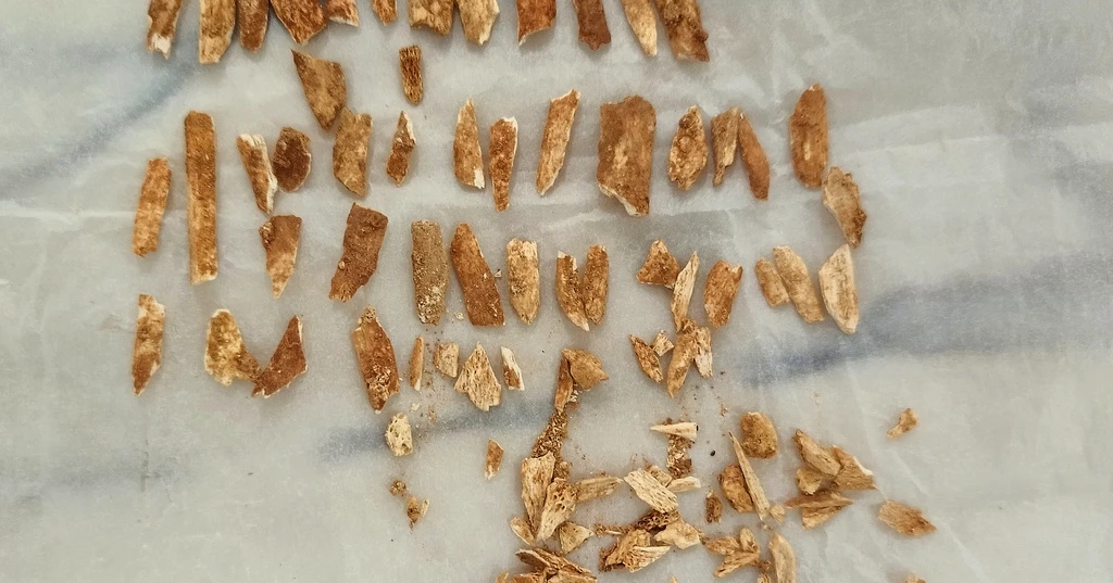 Scientists date remains of ancient child that resembles both humans and Neanderthals