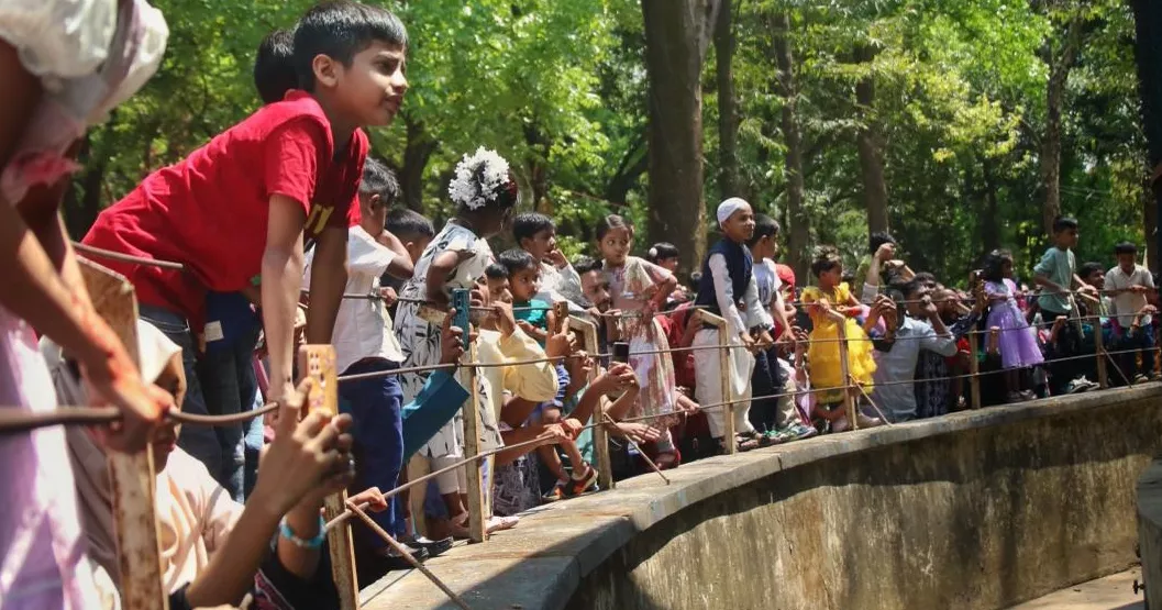 Eid joy continues as crowds flock to Dhaka Zoo