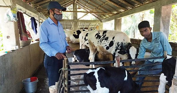 Bangladesh Dairy Board to open regional offices to boost milk output