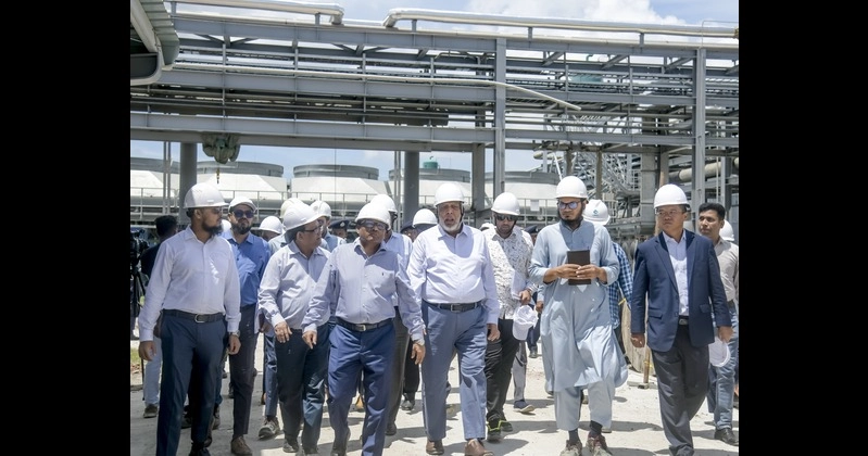 Committee to be formed to investigate irregularities and corruption in the power and energy sector: Power Advisor