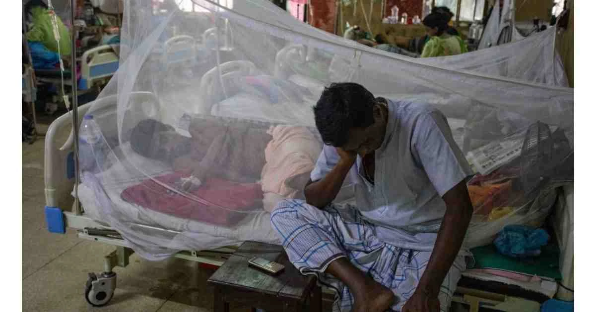 Dengue: 3 more die; 358 hospitalised in 24hrs