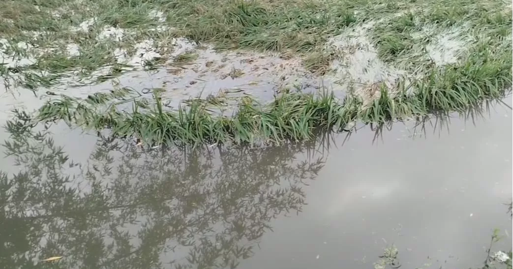 Flood eases in Lalmonirhat as Teesta water falling