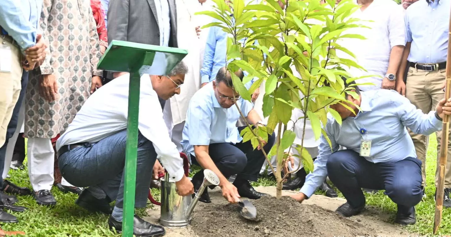 PM Tarique plants tree, releases fish marking BNP founding anniversary