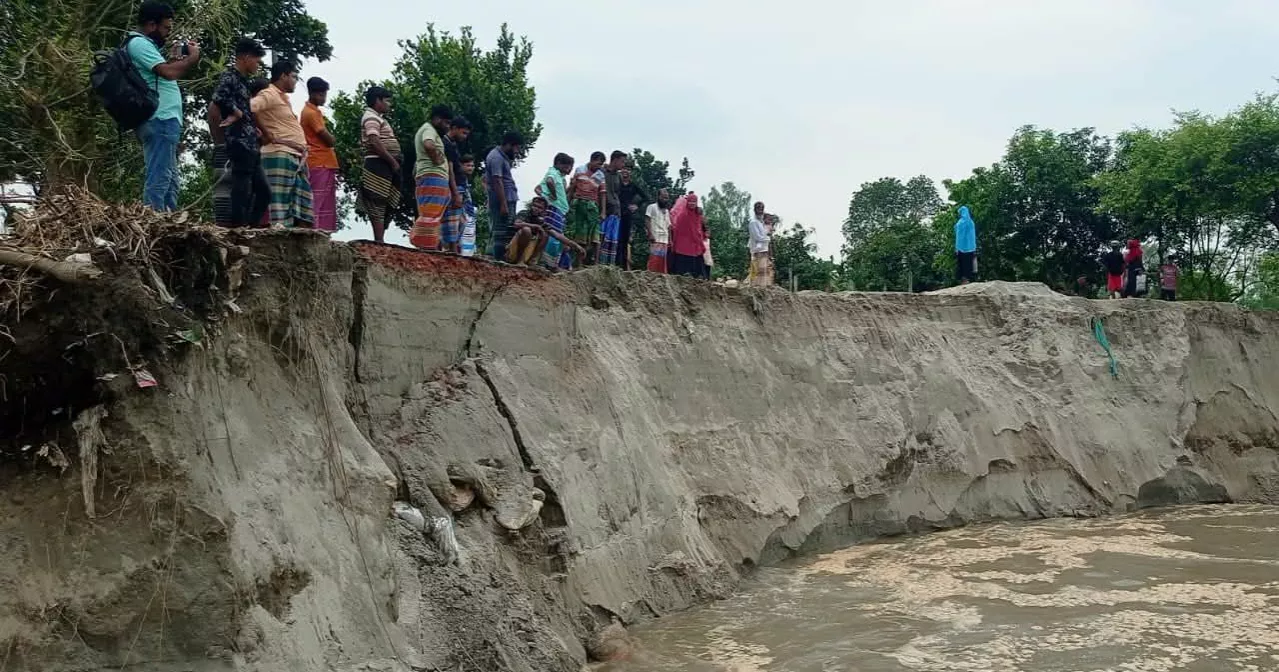 Jamuna erosion intensifies in Sirajganj; rising river waters devour homes, cropland