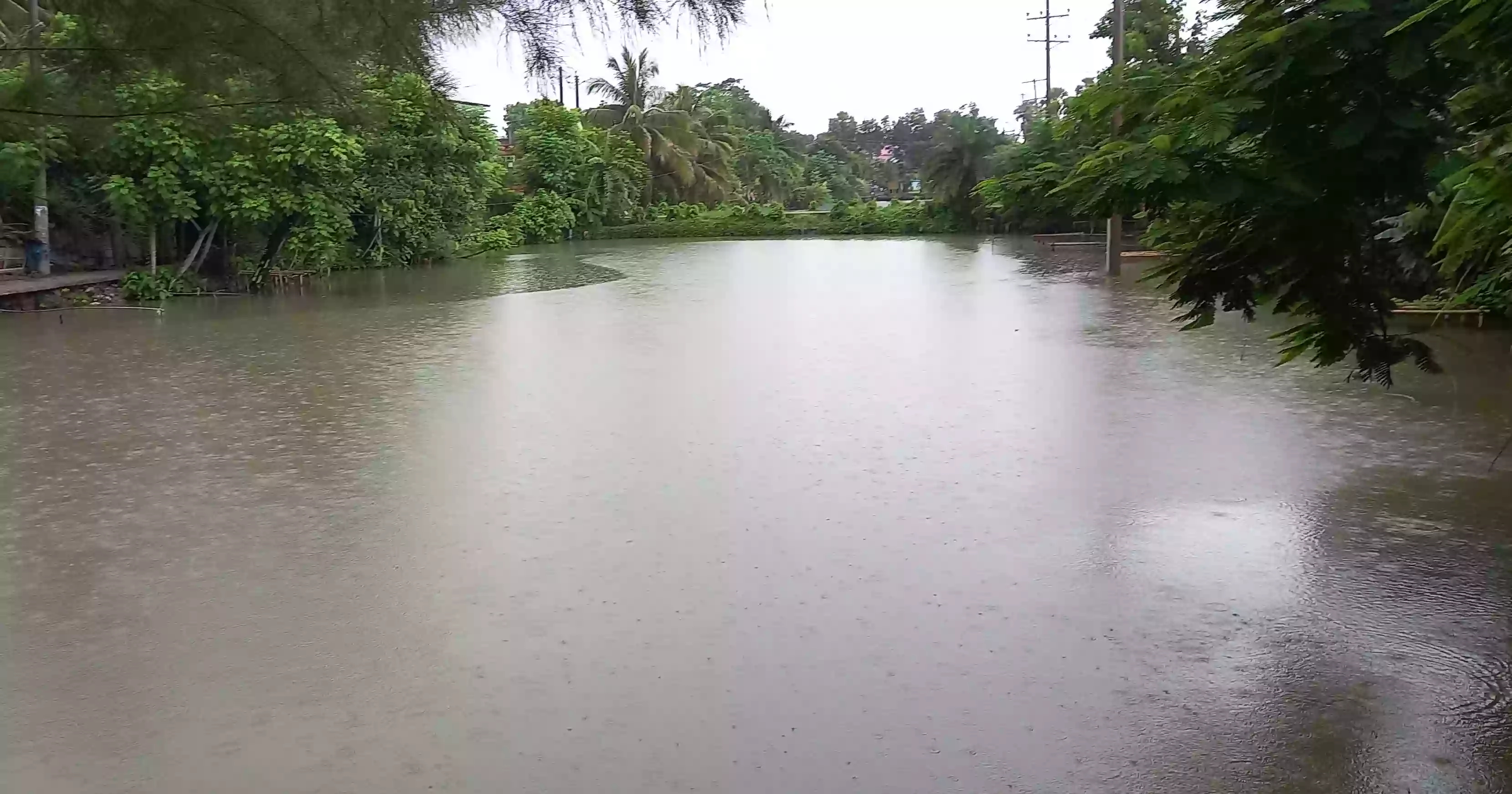 Heavy rains lash coastal areas as low intensifies into monsoon depression