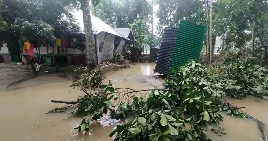 Struggle for survival begins anew in flood-hit Feni as waters recede