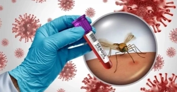 2 more die of dengue, 386 hospitalised in 24 hrs: DGHS