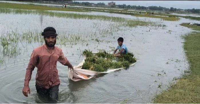 NCP demands emergency govt support for flood-affected farmers