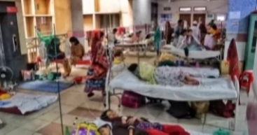 3 more die of dengue, 363 hospitalised in 24hrs