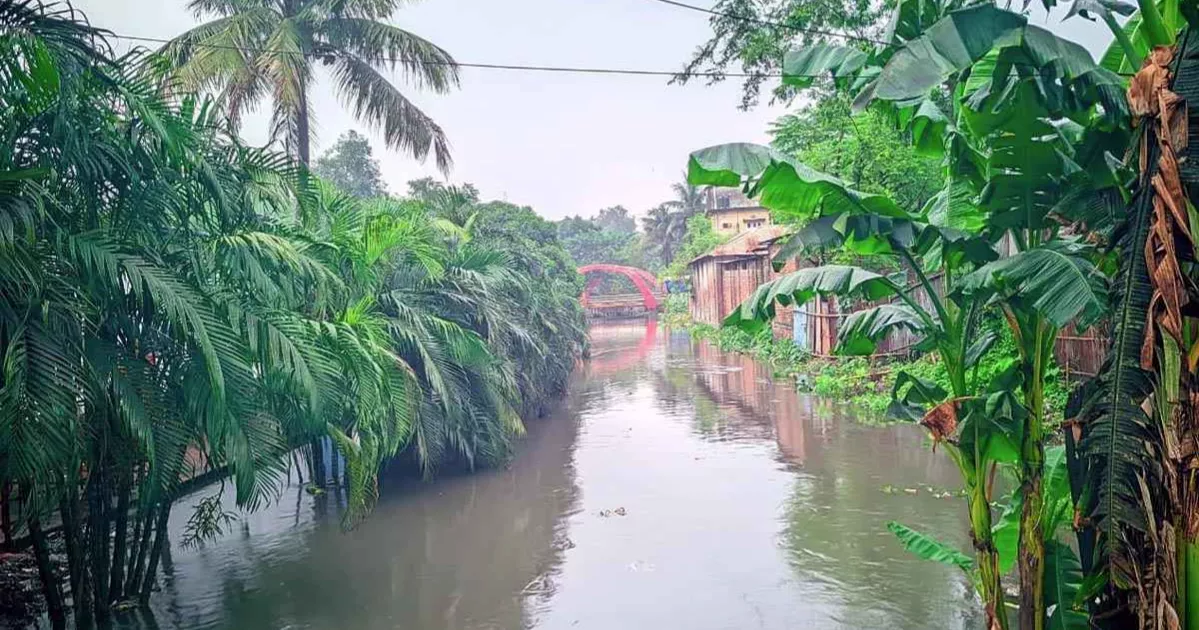 Heavy rain triggers waterlogging across Rangpur city