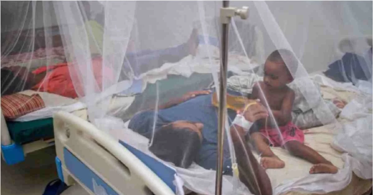 Dengue: 108 fresh cases reported in 24hrs
