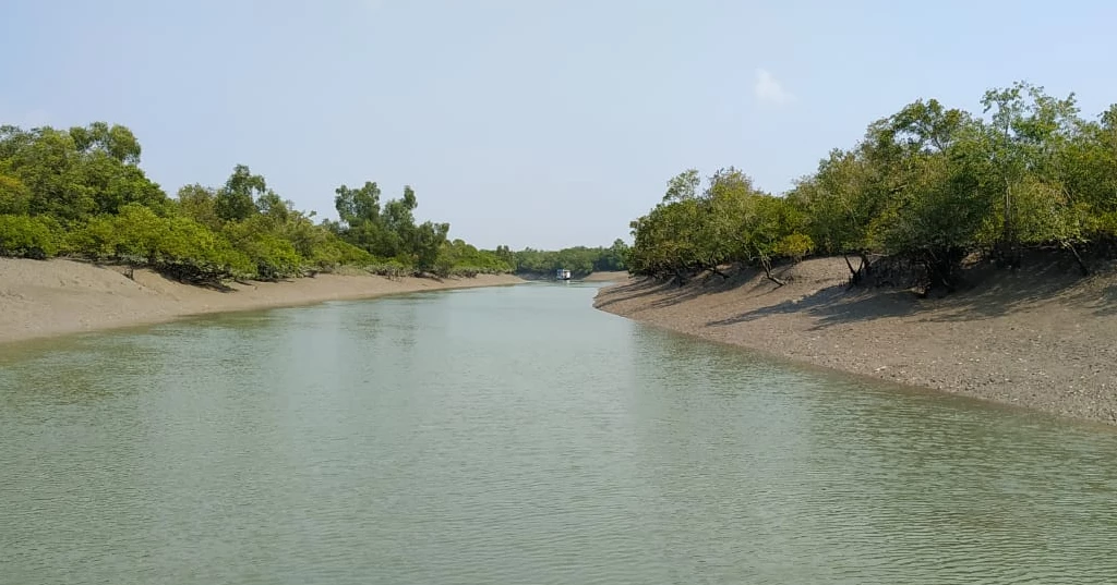 57 arrested, 43 firearms recovered in 2 years in Sundarbans: Coast Guard