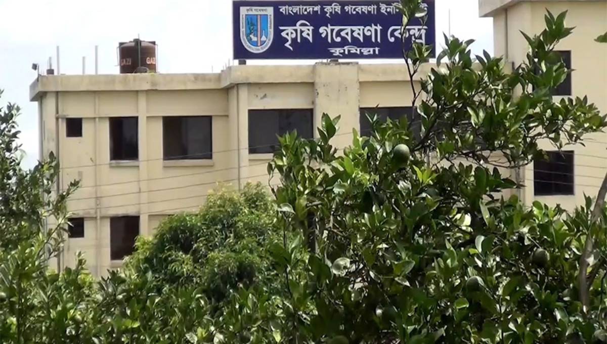 High-yielding fruits open new possibilities in Cumilla