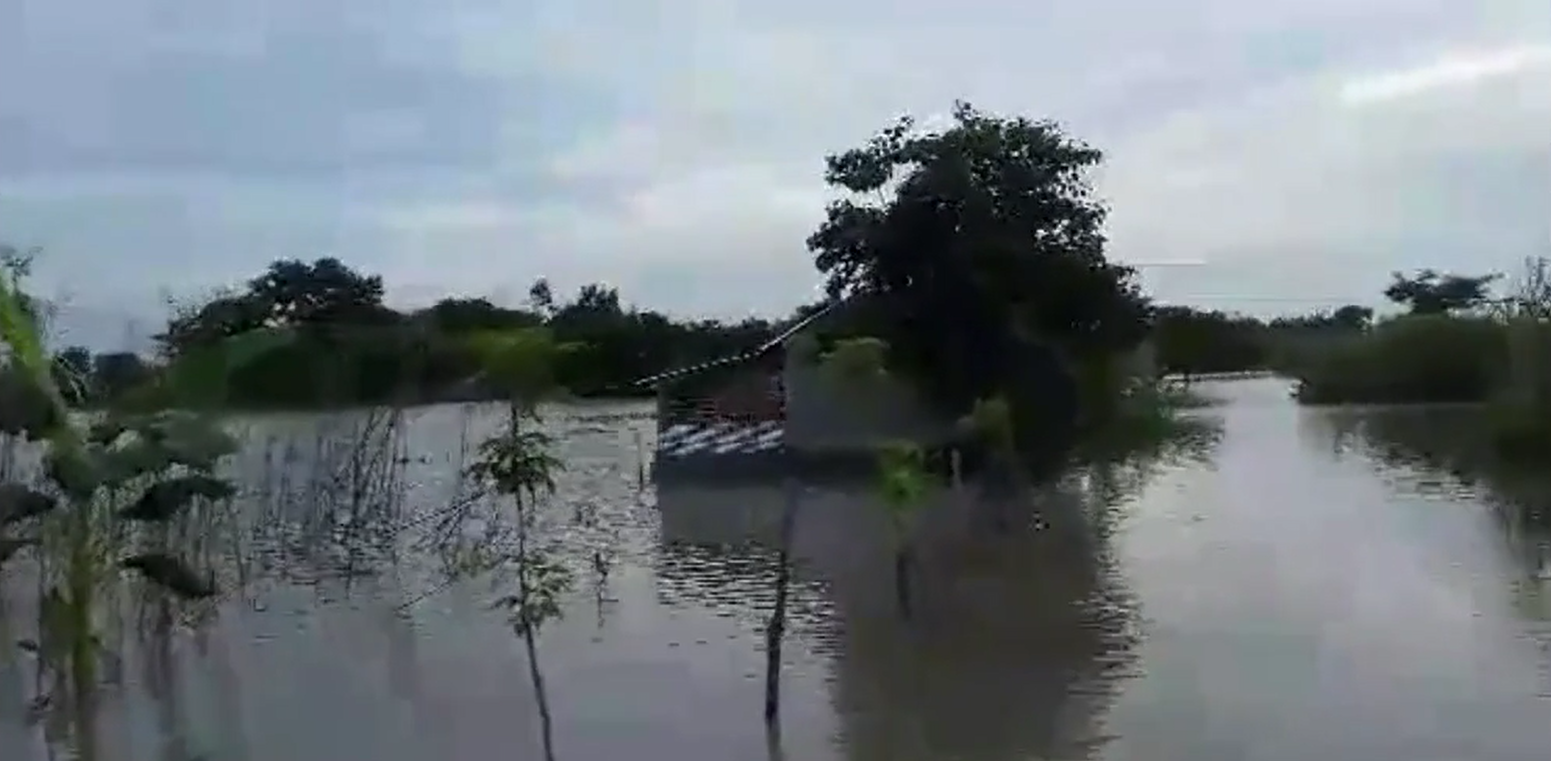 Padma, Mahananda continue to swell in north