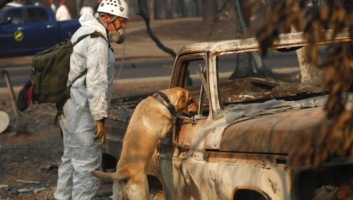 Fire deaths rise to 71 ahead of Trump's California visit