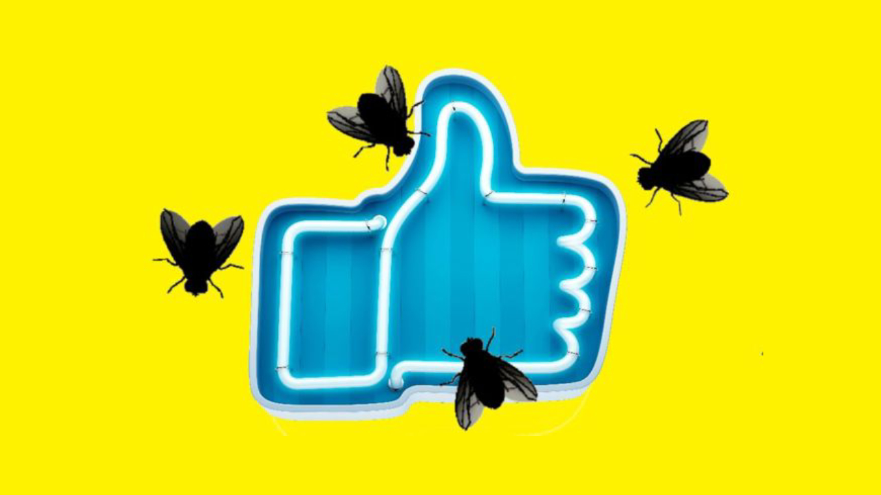 Algeria protests: how disinformation spread on social media