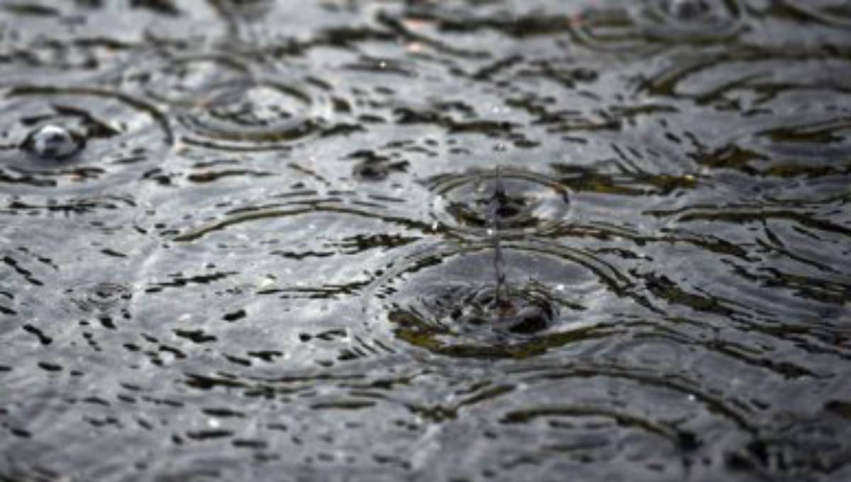 'It is raining plastic': Scientists find colorful microplastic in rain