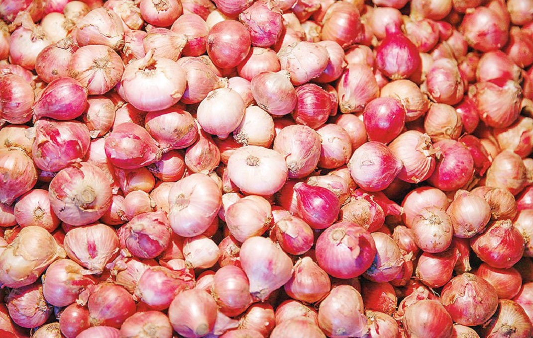 Onion traders in Satkhira warned against hoarding