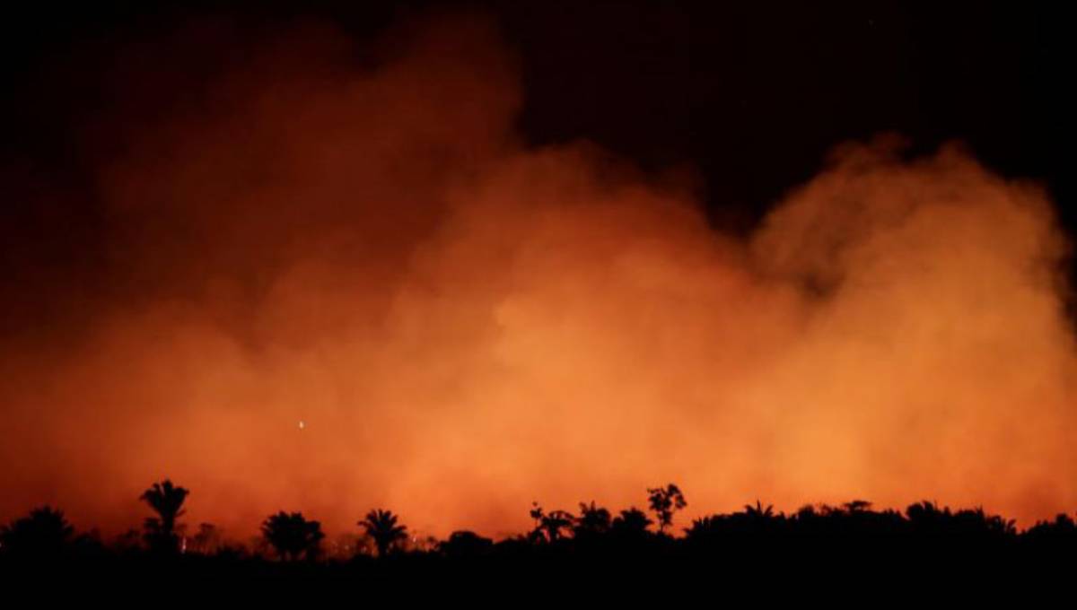 Brazil's Bolsonaro causes global outrage over Amazon fires