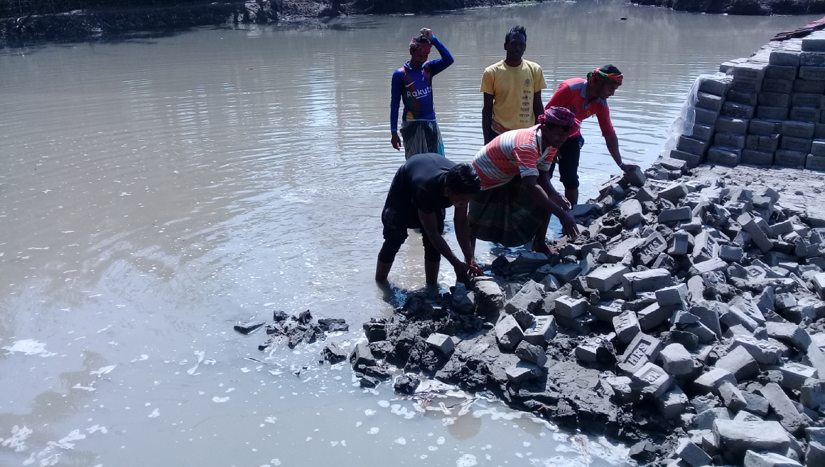 Untimely rain damages raw bricks in Satkhira brick kilns