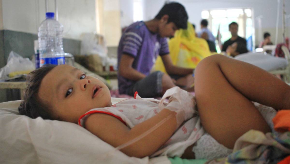 18 people died of dengue in Dhaka: DGHS