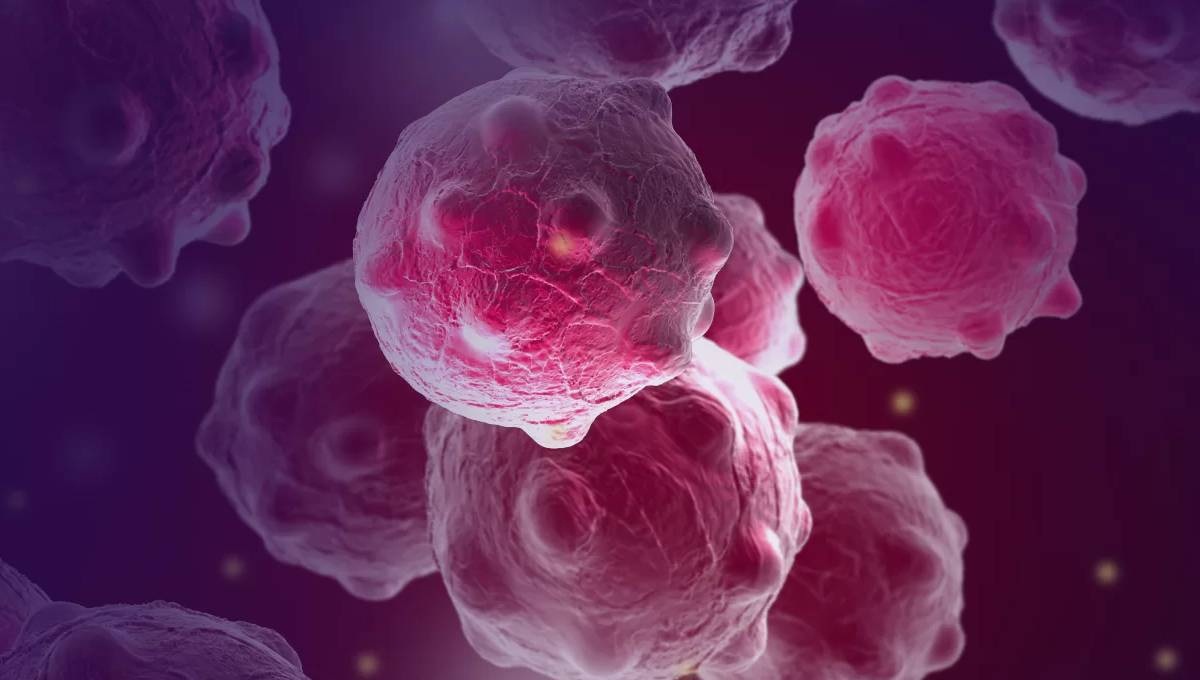 Israeli scientists claim to have found 100pc cure for cancer