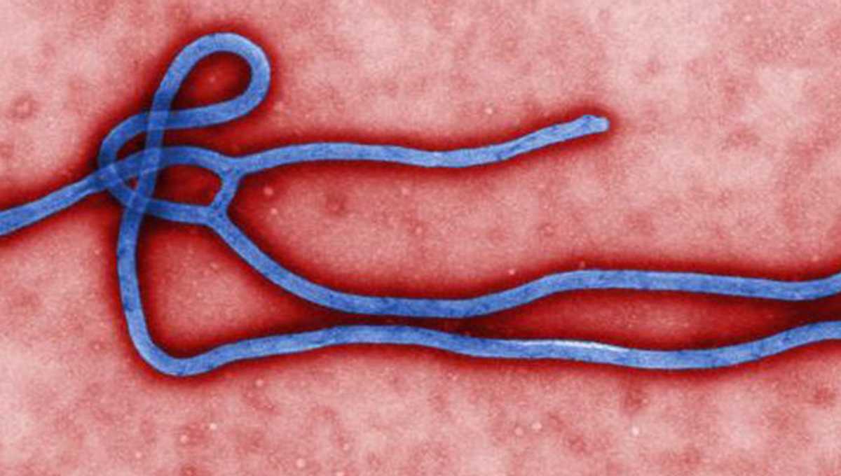 Uganda, at high risk for Ebola, starts vaccinating medics