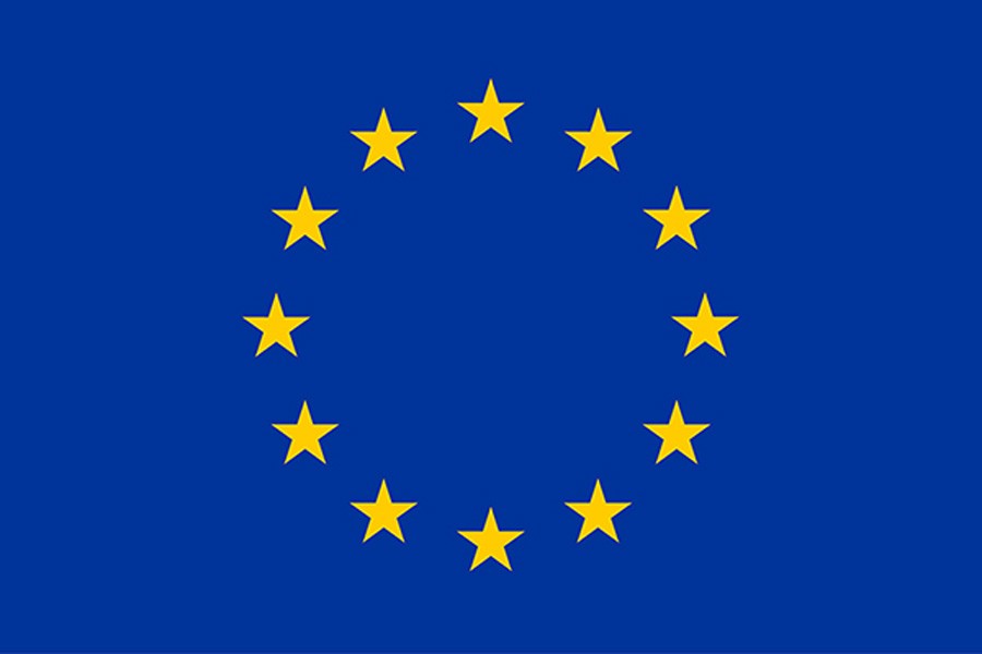 2 EU election experts meet BNP female candidates