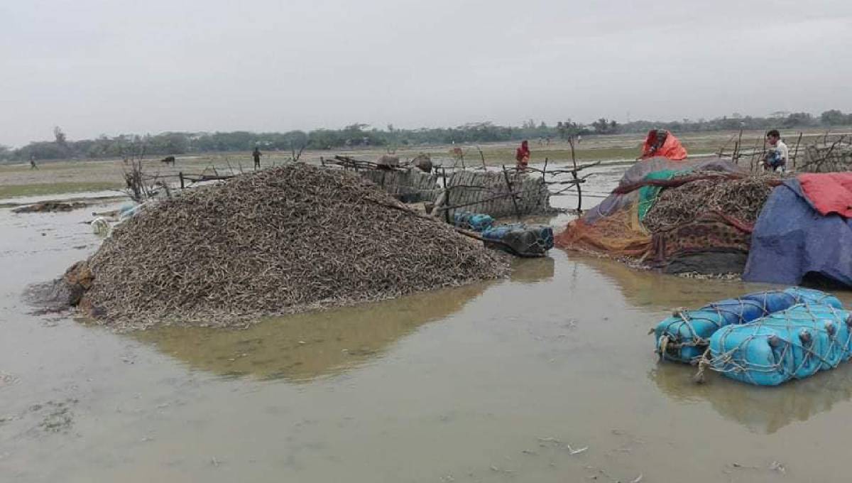 50 houses damaged in storm in Noakhali