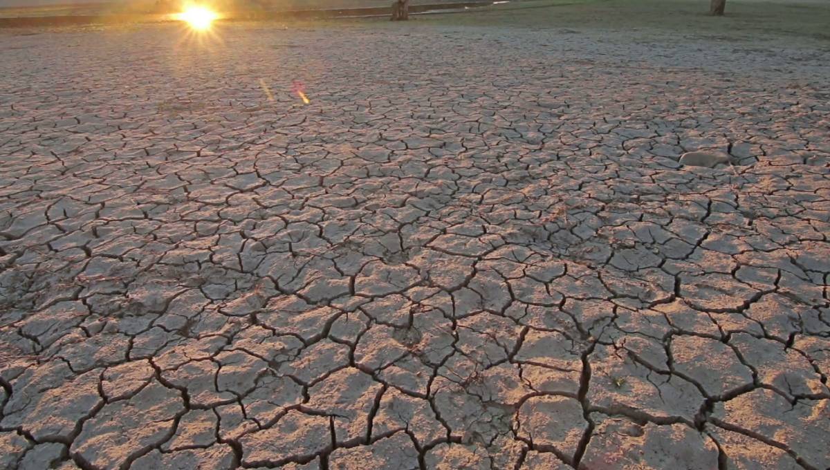 July the hottest month in history: UN