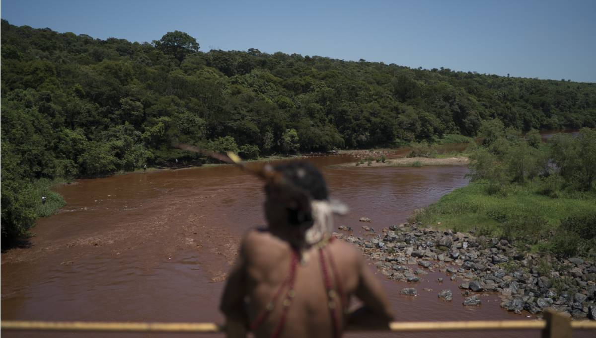 Arrests in Brazil dam disaster, dead fish wash up downstream